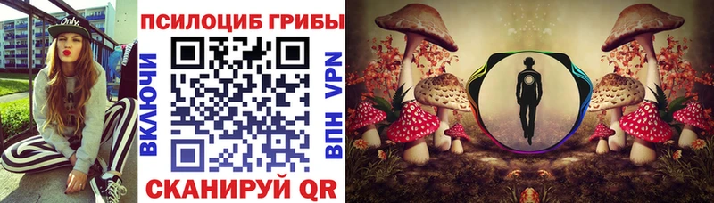 Галлюциногенные грибы Cubensis  Белорецк 